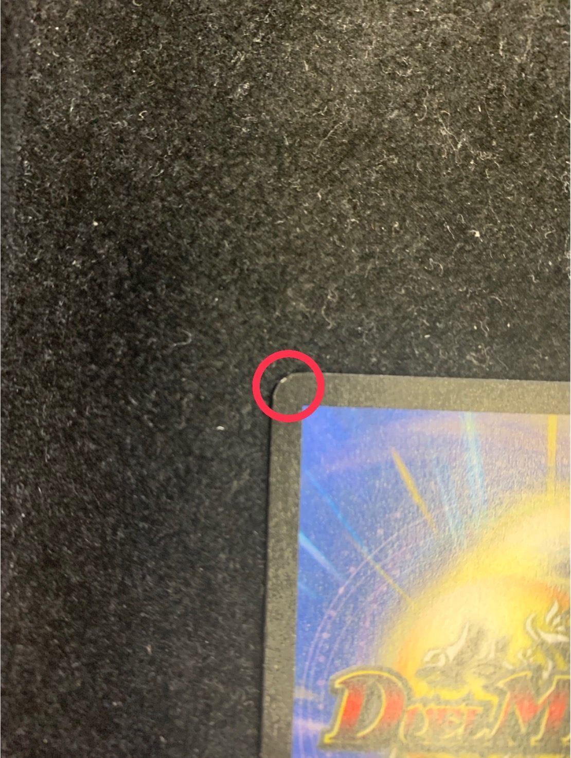 [State A-] Barkwhip, the Smasher [-] {PRWINNER} [Nature