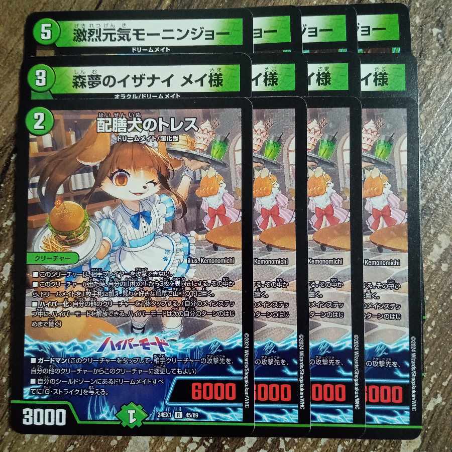 Catering dog Tres R 45/89 Fierce and energetic Mornin Joe R 43/89 Forest dream of Izanai Rosa-sama U 65/89