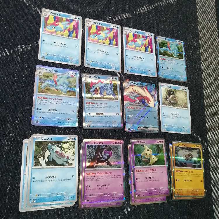 Pokémon Card Feraligatr Deck Nakayoshi Poffin [03443].