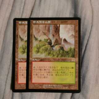 樹木茂る山麓　２枚