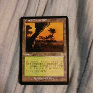 吹きさらしの荒野