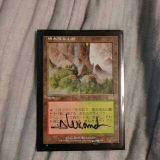 樹木茂る山麓　サインド