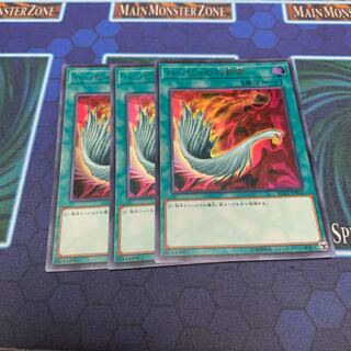 ハーピィの羽根帚　専用