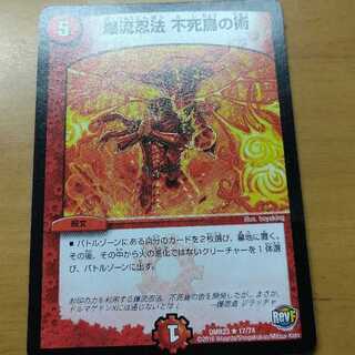 爆流忍法 不死鳥の術