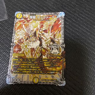 煌龍 サッヴァーク