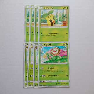 キマワリ サンパワー 進化ライン セット オルタージェネシス