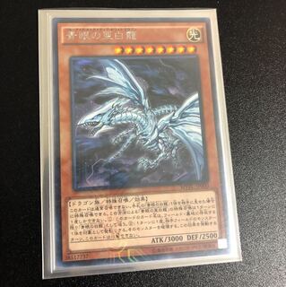 オルタナティブドラゴン