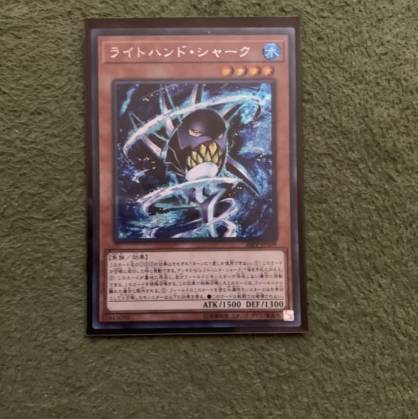 ライトハンド・シャーク SE