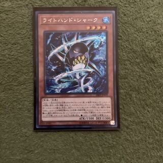 ライトハンド・シャーク SE