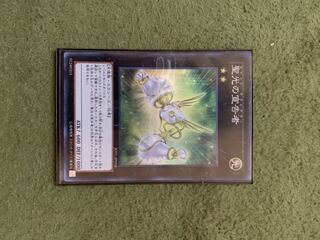 聖光の宣告者 SR