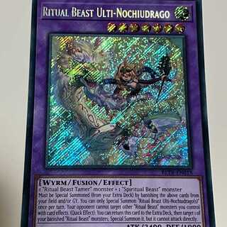 Holy Spirit Beast Rider Notiudrago English edition EU edition