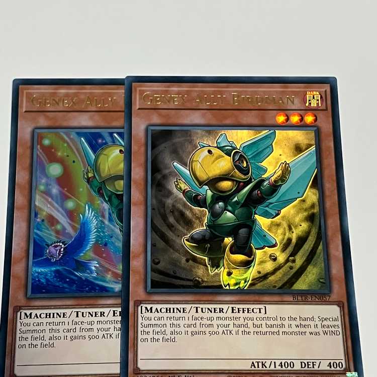 Genex Ally Birdman English EU Edition Normal Different Picture Set