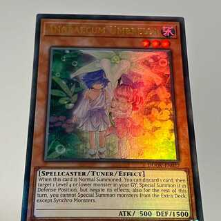 Angraecum Umbrella English Edition EU Edition