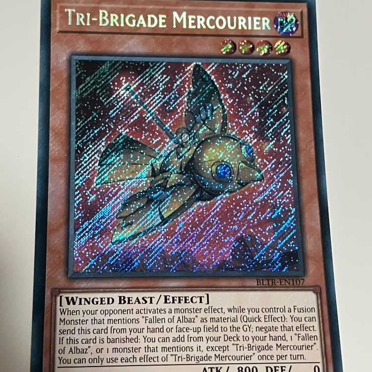 Iron Beast Bird Mercourire English edition EU edition