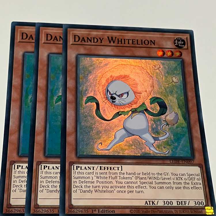 Dandy Ho Wight Lion English EU edition 3 copies