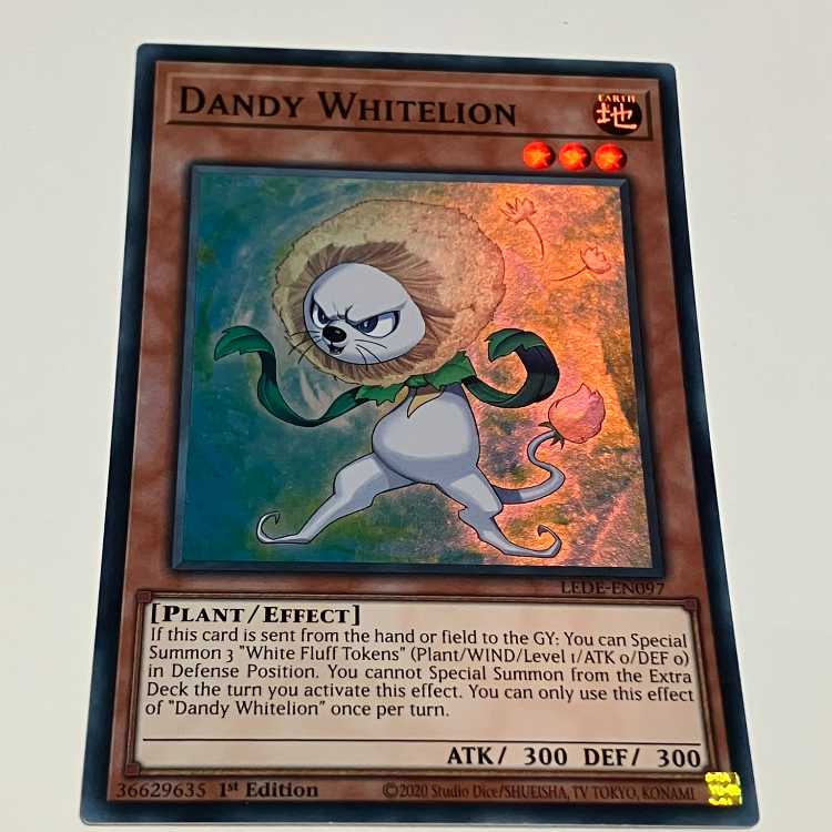 Dandy Ho Wight Lion English EU edition