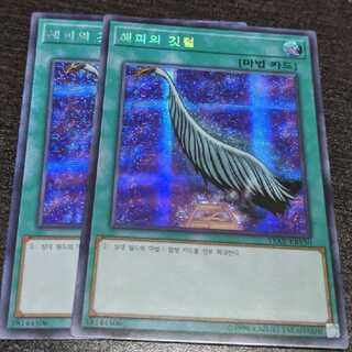 ハーピィの羽根帚　