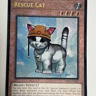 Rescue Cat English EU version