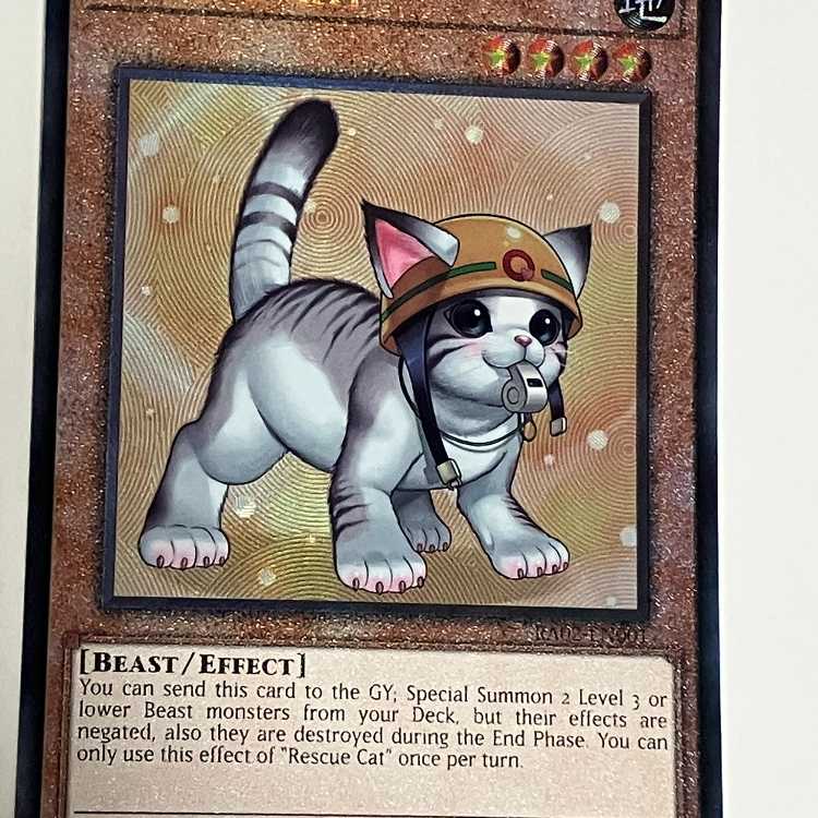 Rescue Cat different picture English version EU version Relief