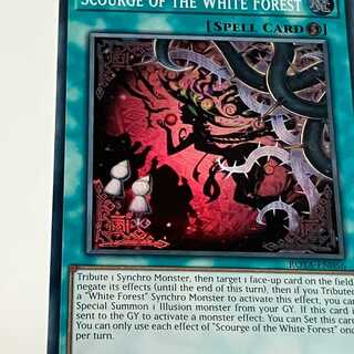 白き森のあくま　英語版　EU版