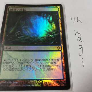 霧深い雨林　日本語foil　初版