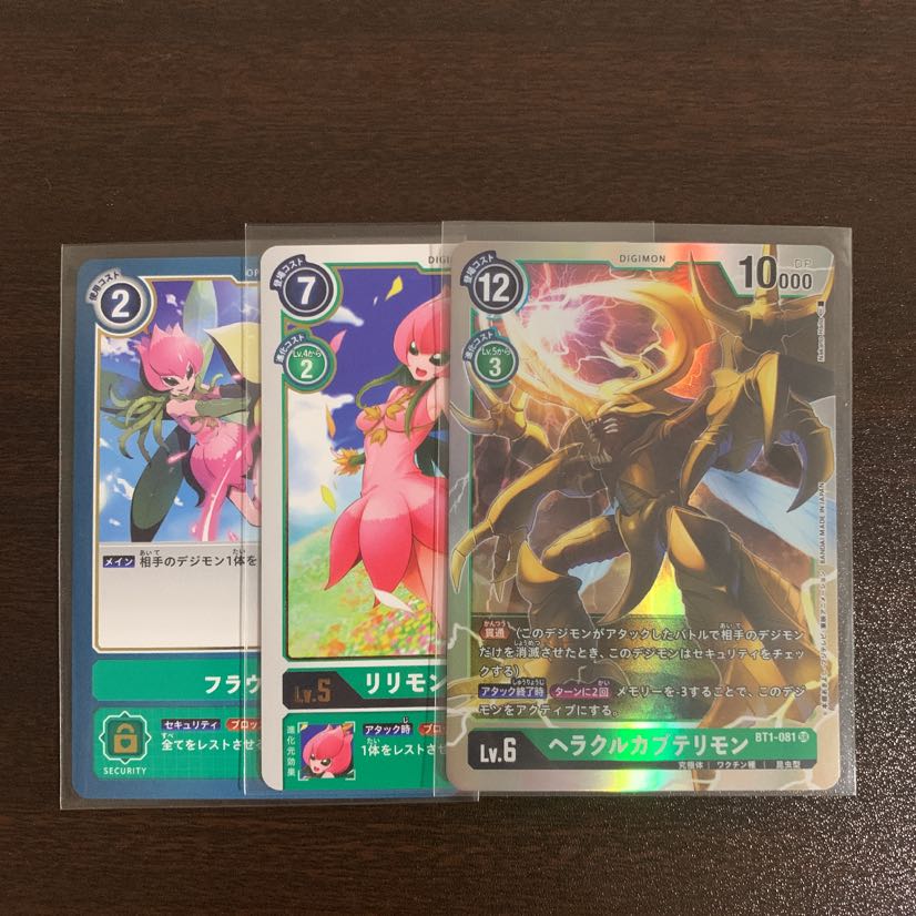 ヘラクルカブテリモン セット