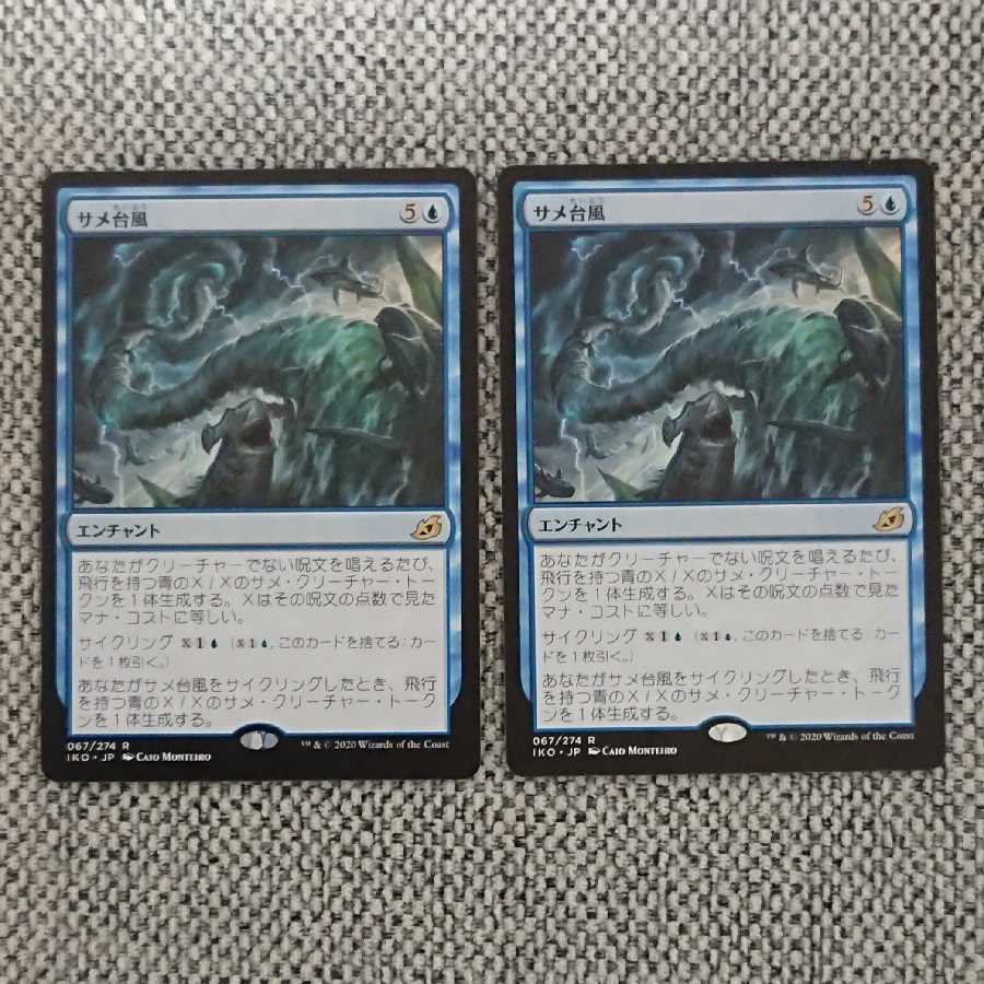 サメ台風[IKO] 2枚セット