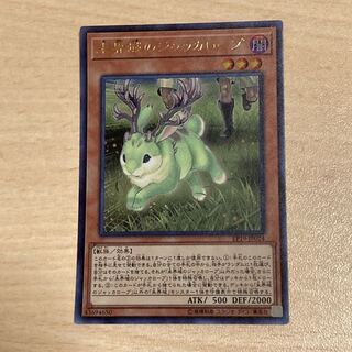 未界域のジャッカロープ