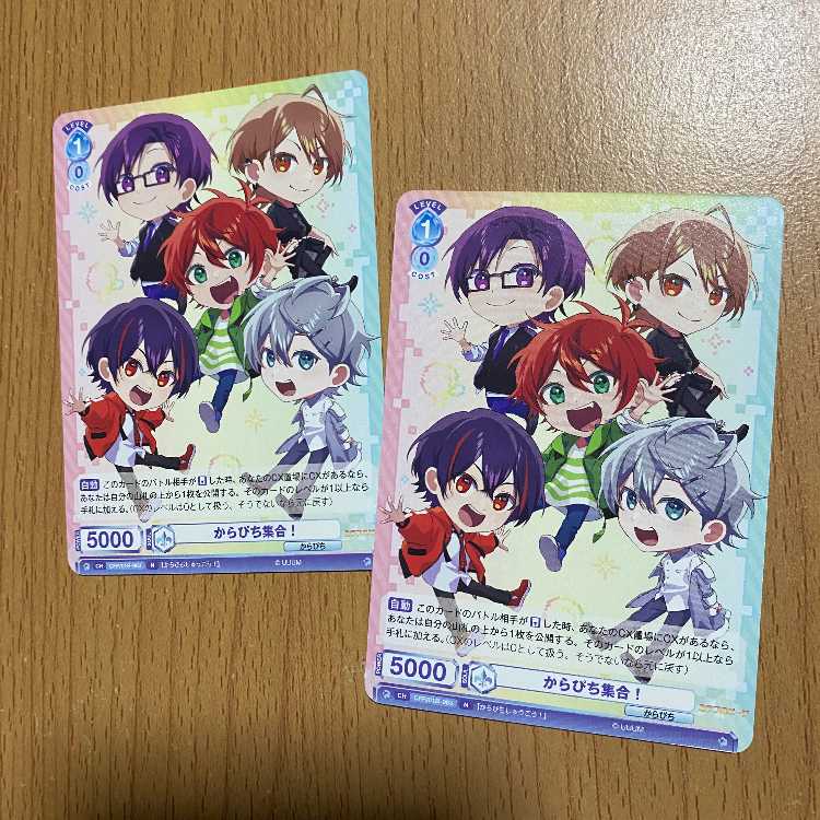 2枚！からぴち集合！[WSB_CFP/01B-063N]