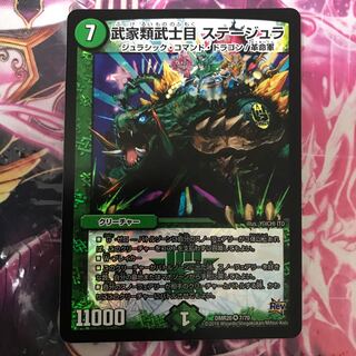 武家類武士目 ステージュラ