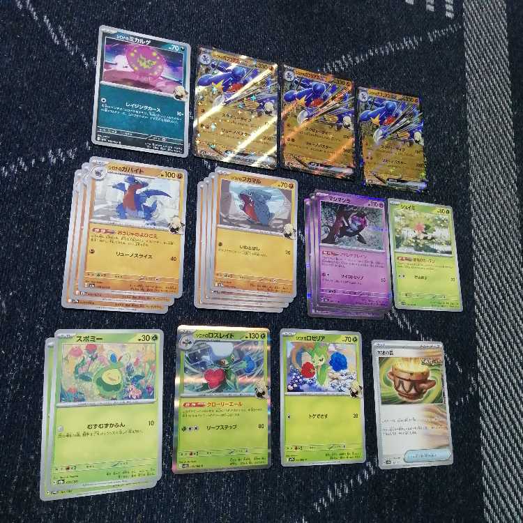 ポケモンカード　シロナのガブリアスex　デッキ　なかよしポフィン　[03504]