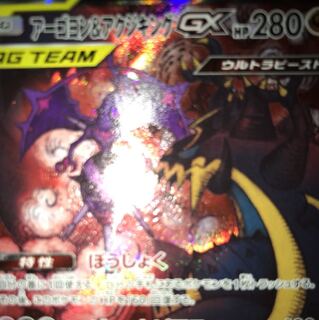 アーゴヨン＆アクジキング