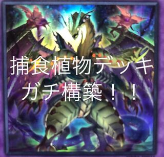 捕食植物デッキ 大会構築