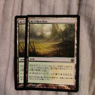 剃刀境の茂み　２枚