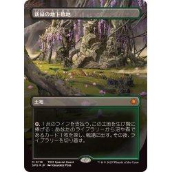 ドラゴンスケイルfoil 新緑の地下墓地 1枚 日本語（Foil】《新緑