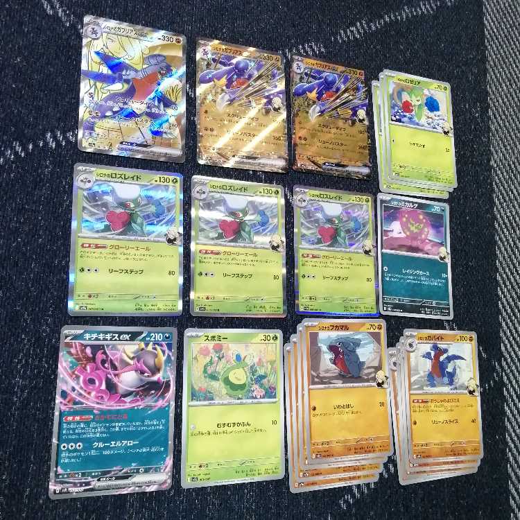 Pokémon Card Cynthia's Garchompex Deck Nakayoshi Poffin [03541].