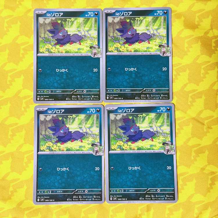 Nのゾロア C 060/100