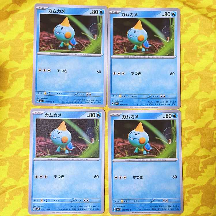 カムカメ C 025/102