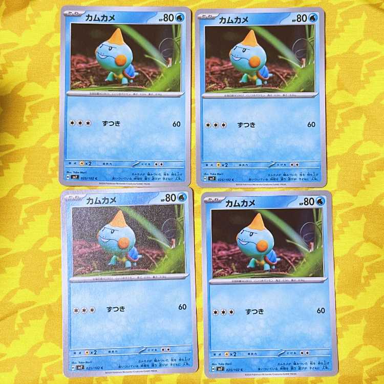 カムカメ C 025/102