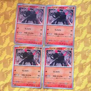 Pardea Tauros U 011/106