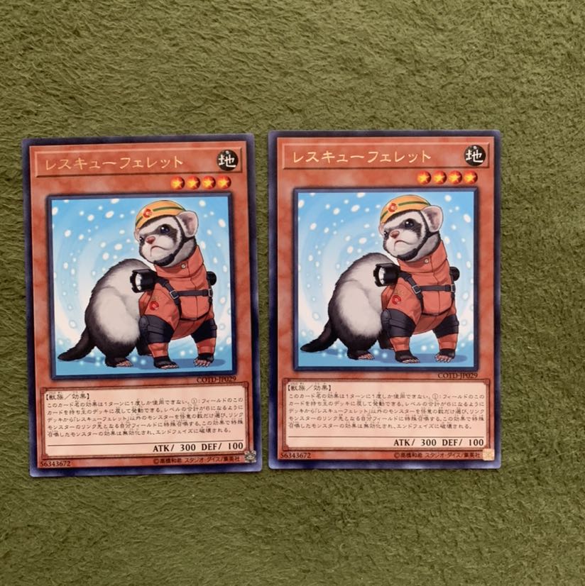 Rescue Ferret R 2 sheets