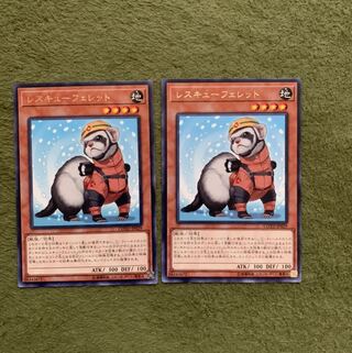 Rescue Ferret R 2 sheets