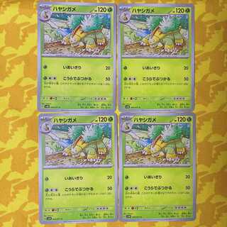 ハヤシガメ C 004/071