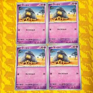 ケーシィ C 063/165