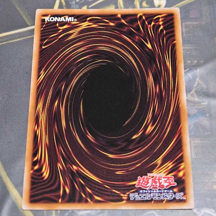 S:P Little Knight QCSE, 25th Sikh JP046