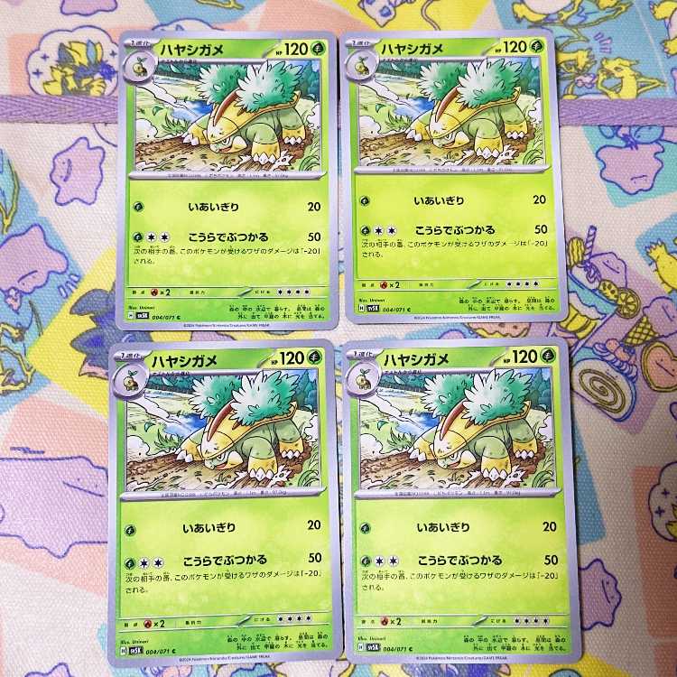 ハヤシガメ C 004/071