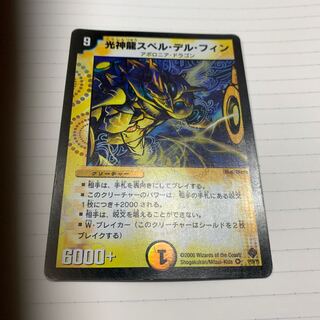 光神龍スペル・デル・フィン