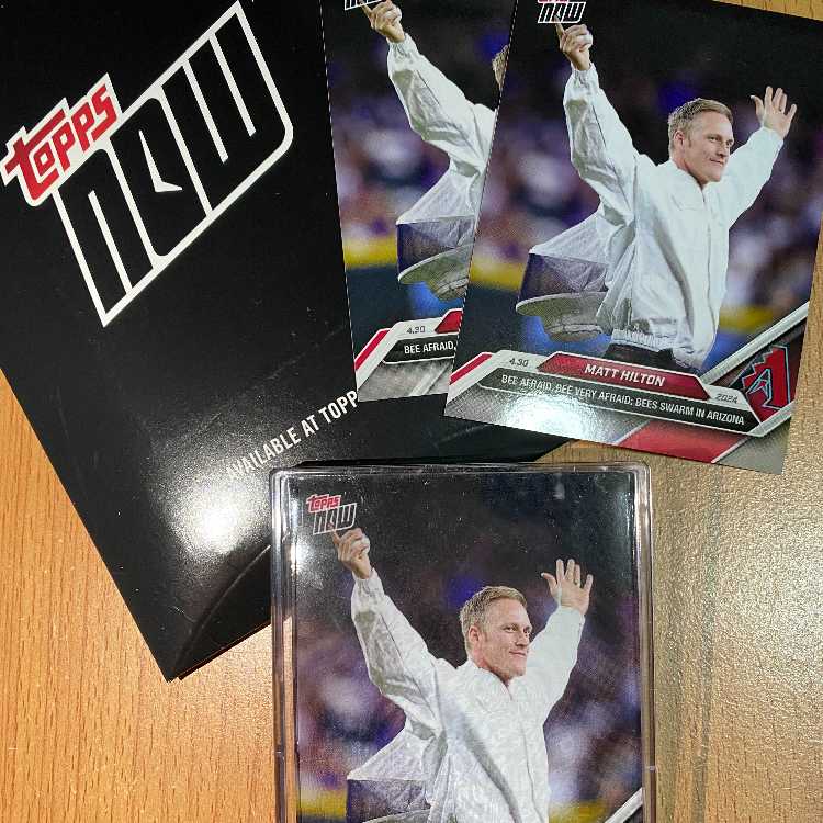 24時間限定販売だった蜂駆除業者Matt Hilton3枚 Topps 大谷翔平