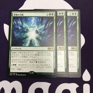 豊穣の力線 3枚