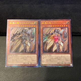 教導の騎士フルルドリス UL